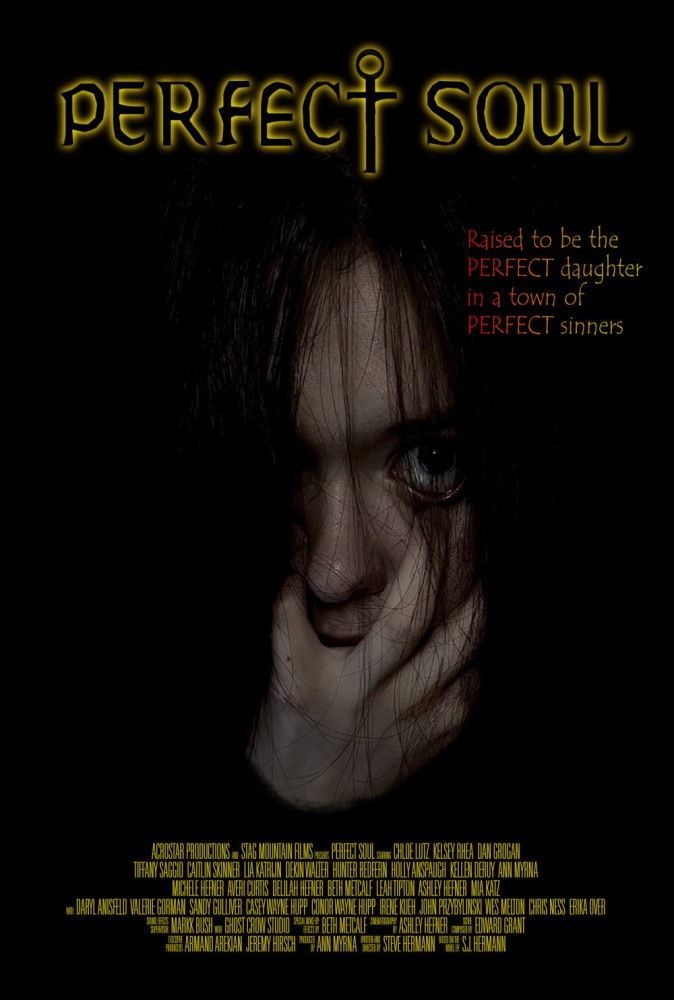 Read more about the article Perfect Soul (2026)